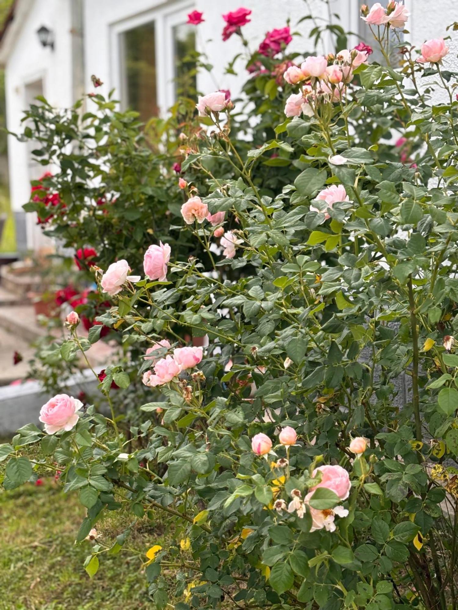 Country House Hatagel Exterior photo